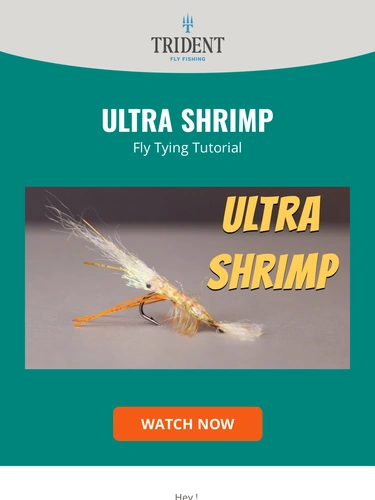 Trident Fly Fishing Product Launch