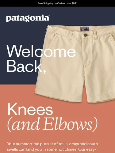 Patagonia Newsletter