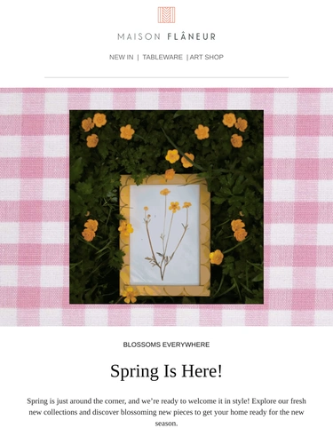 Maison Flaneur Sale Announcement