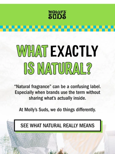 Molly's Suds Newsletter