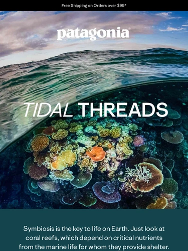 Patagonia Sale Announcement